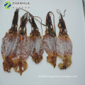 Dry squid whole round dried illex squid todarodes squid